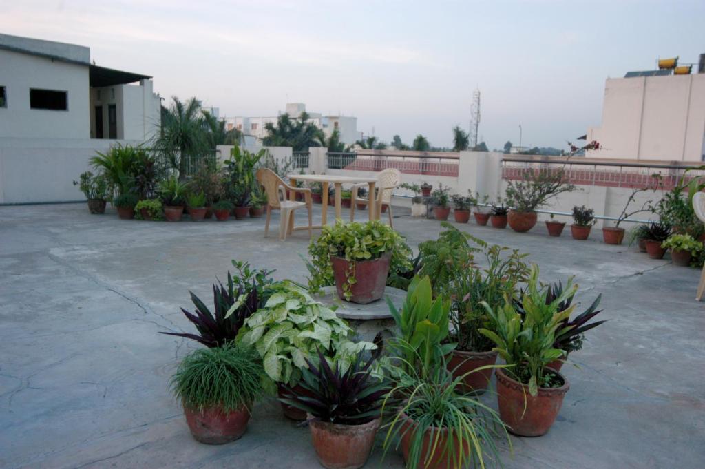 Hotel Ajaya Varanasi Bagian luar foto
